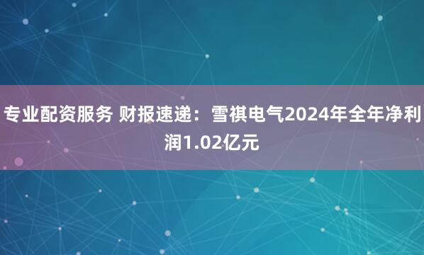 专业配资服务 财报速递：雪祺电气2024年全年净利润1.02亿元